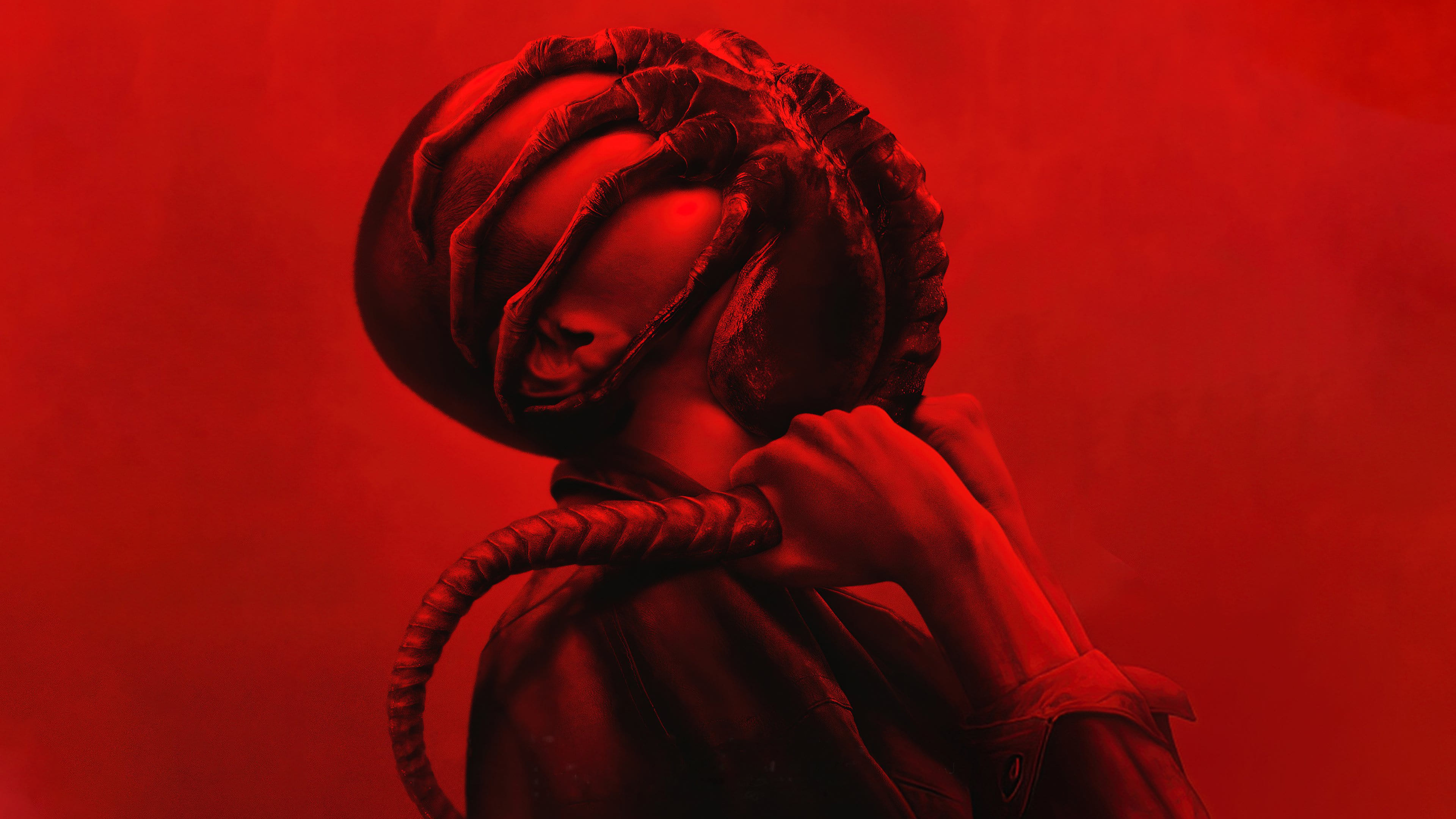 Alien Romulus : Un hommage éclatant qui peine à s'affranchir de l'héritage de Ridley Scott Alien Romulus : Un hommage éclatant qui peine à s’affranchir de l’héritage de Ridley Scott